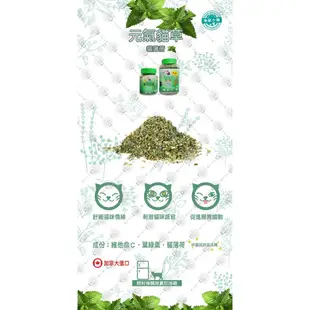 MJ 萌洲 聰明貓 元氣貓草 50G 貓薄荷草 維他命C 葉綠素 助化毛 貓草 貓零食 (10折)