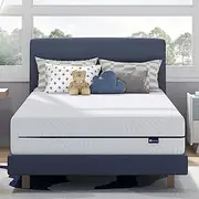 [Avenco] Queen Size 8 Inch Memory Foam Mattress, Medium Firm, CertiPUR-US Certified