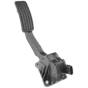 Accelerator Pedal Sensor WVE 5S13184