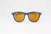 Alain Prost 031 Blue Sunglasses Brown Flash Lenses External Anti-Reflex
