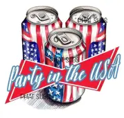 Sublimation Print Party In The USA 4th Of July Ready to Press Heat Transfer