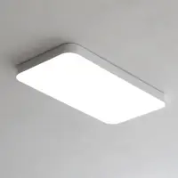 在飛比找Coupang 酷澎優惠-LIGHTING EVER LED 簡約客廳燈 60W