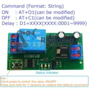 NEW DC 12V Bluetooth BLE Relay 2.4G RF Remote control IOT Module Switch Board