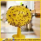 Fruit Fly Trap Killer Fruit Fly Catcher Reusable Insect Fly Trap for Home Farm .