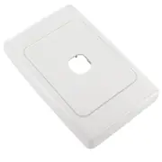 1-Gang Single Custom Blank Wall Plate + Surround for 1 Mech Connector Terminal