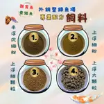 魚飼料 觀賞魚飼料 養殖魚飼料 小型魚飼料 孔雀魚飼料 錦鯉飼料 金魚飼料