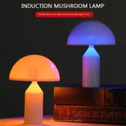 Touch Dimmable Table Lamp Battery Operated Mushroom Night Light Bedroom