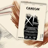 在飛比找蝦皮購物優惠-松林-法國CANSON康頌XL系列砂面繪圖紙   A4/A3