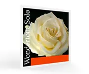 Pirastro Violin Wondertone Solo Loop E