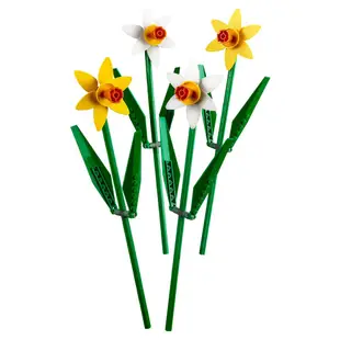 LEGO樂高 LT40646 Daffodils 系列 - 水仙