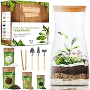 Bottle Garden Complete Set for Creating an Ecosystem in Glass - Terrarium Starter Kit for Creating a Biotope in Glass - Ain Plant (Kit with Bottle)