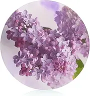 Chopping Blocks, Lilac Flowers Printed Chopping Block,fruit Chopping Block,thickened Chopping Block,round Chopping Block