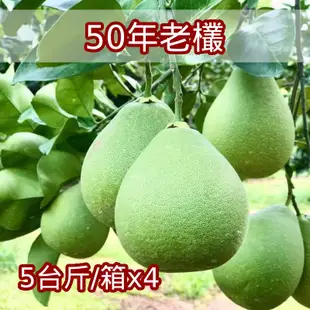 (4箱組)【四季老欉麻豆文旦果園】50年老欉麻豆文旦(5台斤/箱)