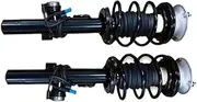 1 Pair Front Car Shock Absorber Assembly with Spring Compatible for Z4 E89 XDrive 08-16 37116792835 37116792836