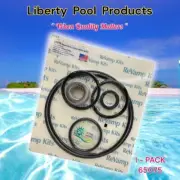MHP & MHPU REPAIR KIT, REPLACEMENTS BY LIBERTY POOL 65075 FITS JANDY®