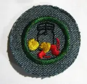 Rare 1947 Girl Scout FOODS BADGE Canner Canning Mason Jar Cook Patch WHITE New!