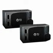 TJ Media TS-H100 Premium 2Way Speaker 250W Max 500W ⭐Tracking⭐