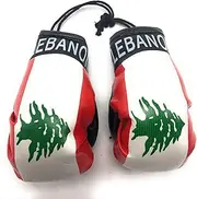 Red Hat Ent Hanging Car Mirror Mini Boxing Gloves (Lebanon)
