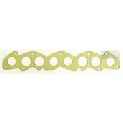Platinum Extractor Gasket - HSM41