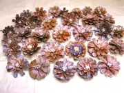 32 Pine cone flowers, slices, zinnia daisy pieces for crafts, wreaths, set 1124