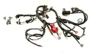 NEW Motorcraft Battery Cable Assembly WC-96513 Ford Edge 2.0L Turbo 2016 (for: Ford)