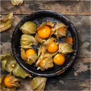 Cape Gooseberry - Dwarf seeds