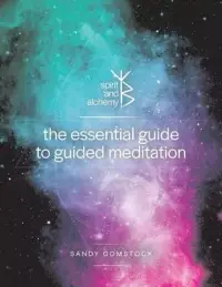 在飛比找博客來優惠-The Essential Guide to Guided 