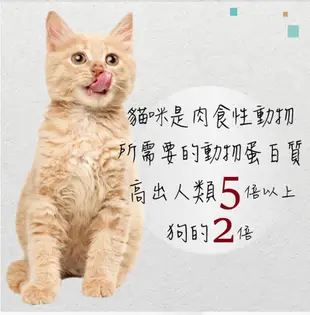SEEDS 惜時 ● MamaMia 軟凍 雞湯 貓餐罐 170g 貓罐 貓罐頭 副食罐 泰國 (10折)