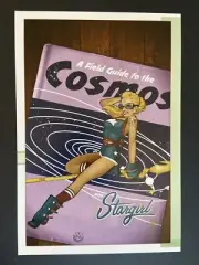 Stargirl - DC Comics BombShells Poster Print 8x11.5 A Field Guide To The Cosmos