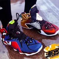 在飛比找蝦皮購物優惠-韓國代購 LeBron 12 What The LeBron