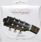 Ibanez ICLS6NT Classic Guitar Nylon Strings 6-string F/S w/Tracking# Japan New