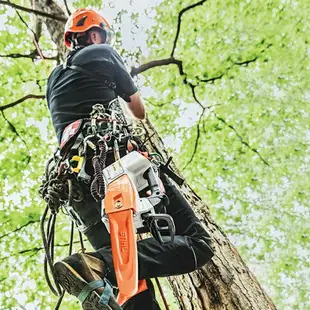 【台北益昌】德國 STIHL MSA161T 36V 12吋 鋰電 鏈鋸機 單手鏈鋸 鏈鋸機 無刷馬達