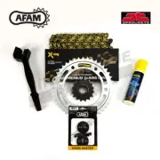 AFAM JT Gold X-Ring Chain & Sprocket Kit fits Suzuki DR350SE T-X 1996-1999