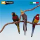 接單引進《寵物鳥世界》義大利 Ferplast 飛寶 多功能自由造型棲木(大號) |小鳥棲木 鸚鵡用品 站棍 DA0345
