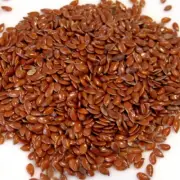 flax seed Alsi whole linseed Linum usitatissimum omega 3 rich organic Fresh 250g