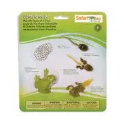 Safari Ltd Life Cycle of a Frog
