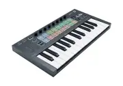 Novation FLkey Mini - Portable 25-Key, USB, MIDI Keyboard Controller with FL ...