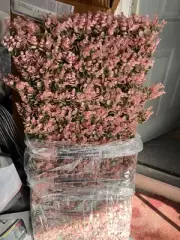 Flower Expandable Fence Pink