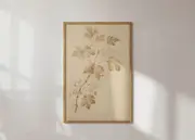 [Namly Design] Poster - Botanical Leaves