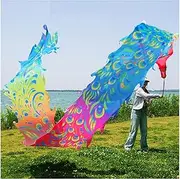 Dragon Dance Silk 8/10m Colorful Dragon Dance Ribbon Prop with Rope Chinese New Year Dragon Dance for Adults Fitness Dragon Exercise Stage (Color : Style C, Size : 8m)