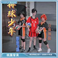 在飛比找蝦皮購物優惠-台灣 熱賣 現貨 排球少年球服 動漫服裝 排球服 烏野高校排