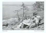 *Oregon Postcard-"Picnic Area Overlooking Cape Arago St. Pk/Coos County" {C8}+