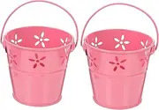 Cabilock 2pcs Flower Pot Pen Holder Galvanized Bucket Mini Buckets Little Buckets Hanging Plant Galvanized Tub Tin Bucket Rustic Decor Small Basket Flower Buckets Metal Pink Iron