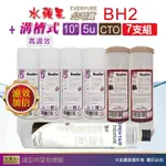 【水蘋果】EVERPURE BH2 公司貨濾心+WAP-110高濾效10吋溝槽5UPP濾心+CTO活性碳濾心(7支組)