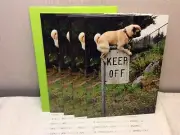 AVANTI BIRTHDAY GREETING CARDS New w/envelopes LOT OF 4 "Bad decisions make..."