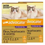 Advocate for Cats For Cats Over 4Kg (Purple) 12 Pipettes