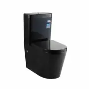 QLD Kasey KDK008 Round Ceramic Back to Wall Faced Toilet Soft Close/ S&P Trap