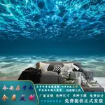 3D立體海洋壁紙海底遊泳館兒童房網紅壁畵店KTV背景防潮墻紙   財路倖福百貨店