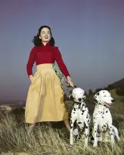 Ann Blyth striking pose walking two dalmation dogs 1940's era 11x17 inch poster