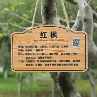 在飛比找Yahoo!奇摩拍賣優惠-公園實木樹木名稱標識木牌植樹節植物介紹掛牌樹木認養牌樹牌